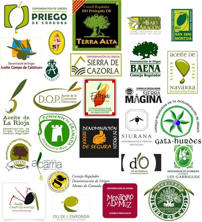 El Cultivo del Olivo y la producción del Mejor AOVE: un Vistazo Detrás de Escena